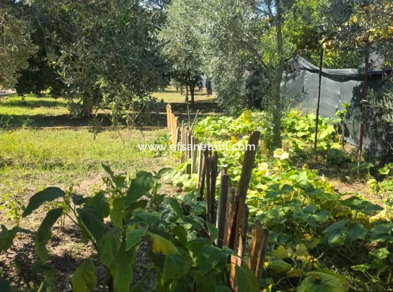 2 1, 70 M2 Village House For Sale On 902 M2 Land Zero To Ortaca Akıncı Sarıgerme Road