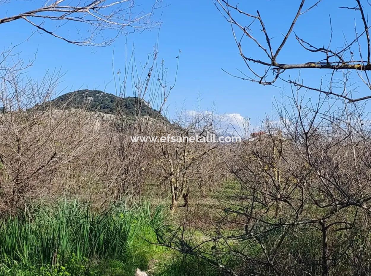 Muğla Dalyanda Canal Zero Detached Land With 5.000 M2 And 250 M2 Construction Rights For Sale