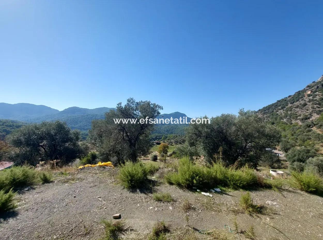 On 763 M2 Land In Ortaca Gökbel, Rough Construction 70 M2, 2 1 Prefabricated House For Sale
