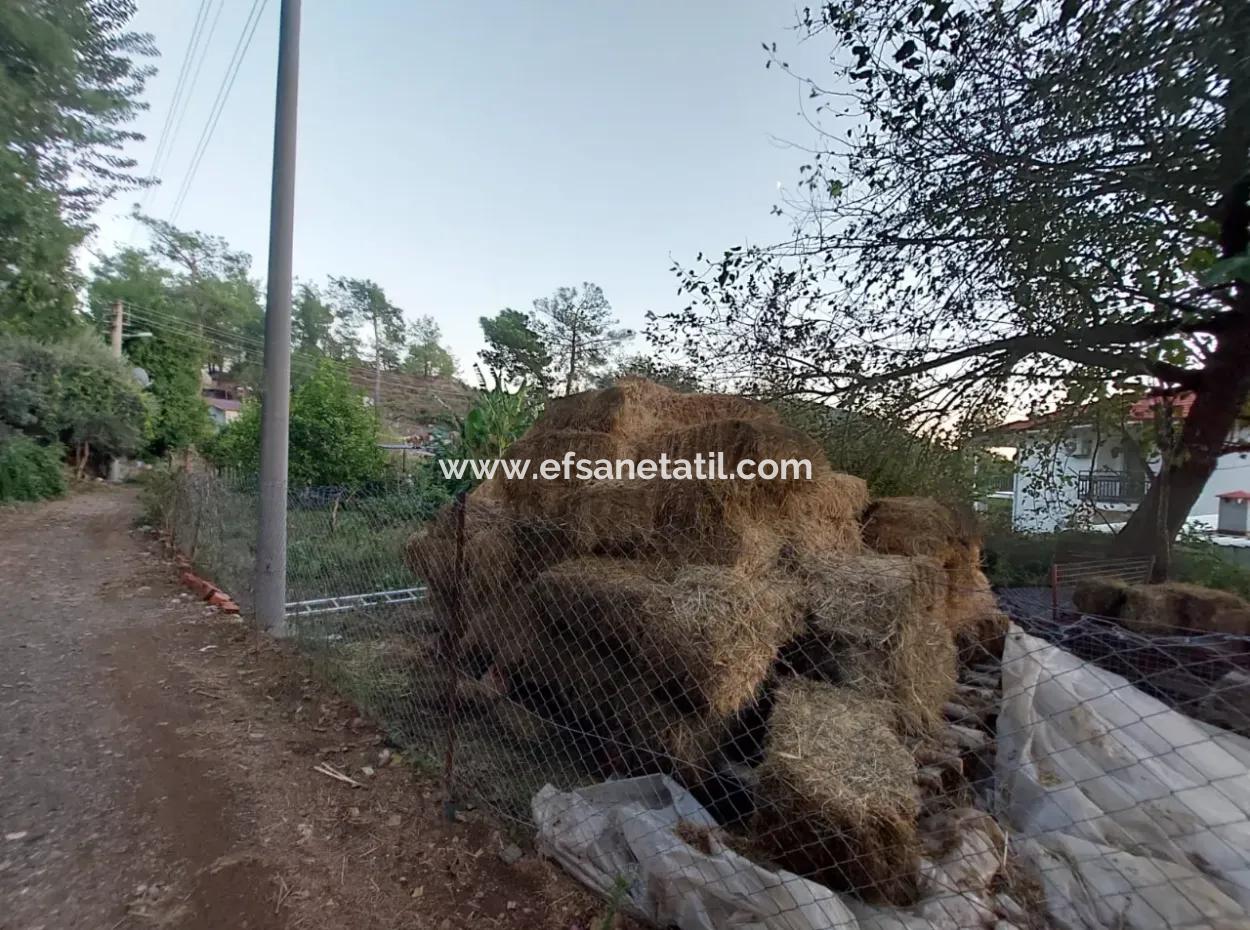 350 M2 Detached Tiny House Suitable Land For Sale In Ortaca Çaylı