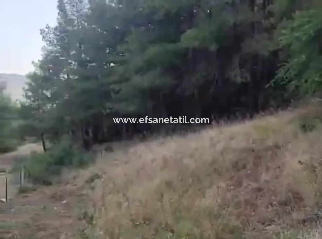 Muğla Ula Çiçek Main Road In Greenery 2.500 2 Detached Land With Title Deed For Sale.