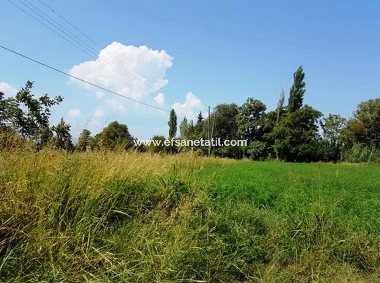 Bargain Plot For Sale In Archer