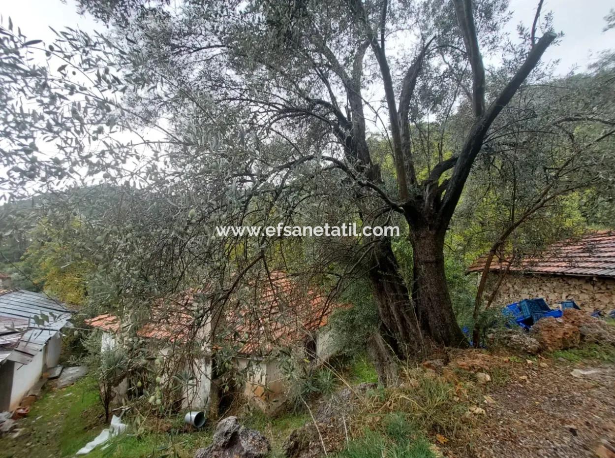 Village House With Title Deed For Sale In Nature In Muğla Fethiye İnlice