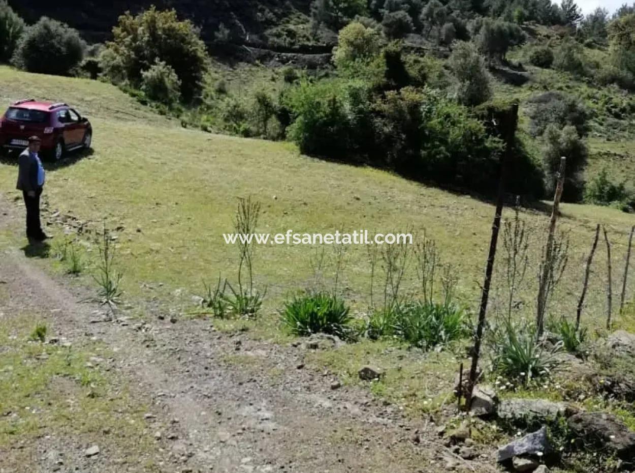 Muğla Ortaca Gökbelde 3200 M2 Shared Land For Sale