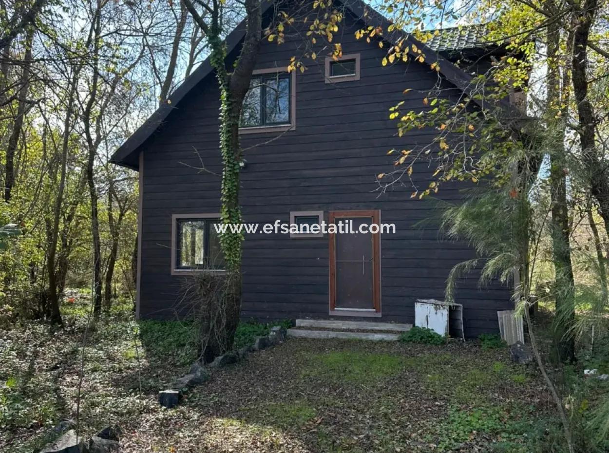 12 000 M2 Field For Sale In Ortaca Yeşilyurt