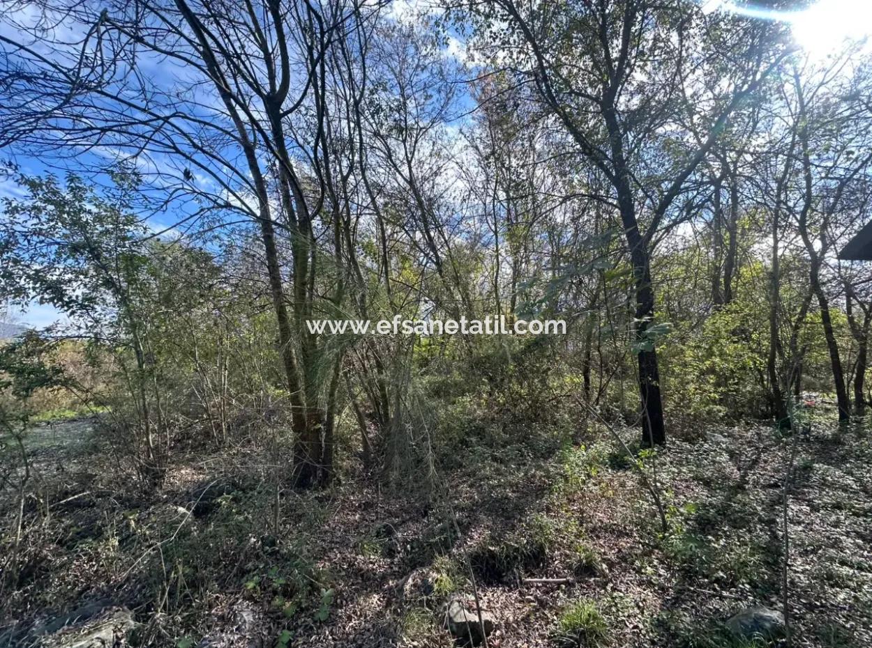 12 000 M2 Field For Sale In Ortaca Yeşilyurt