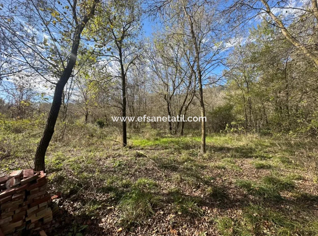 12 000 M2 Field For Sale In Ortaca Yeşilyurt