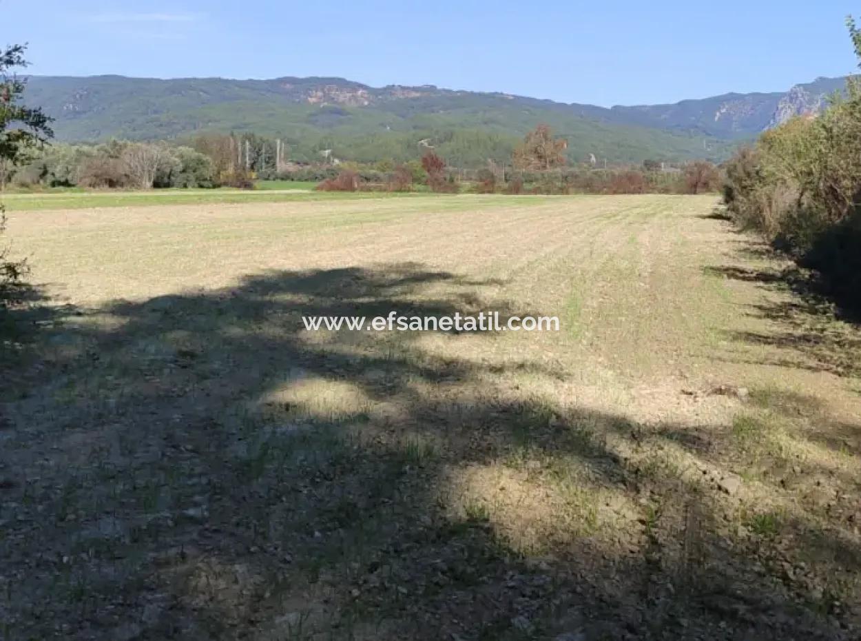 Bargain 6 000 M2 Land For Sale In Muğla Ula Karabörtlende