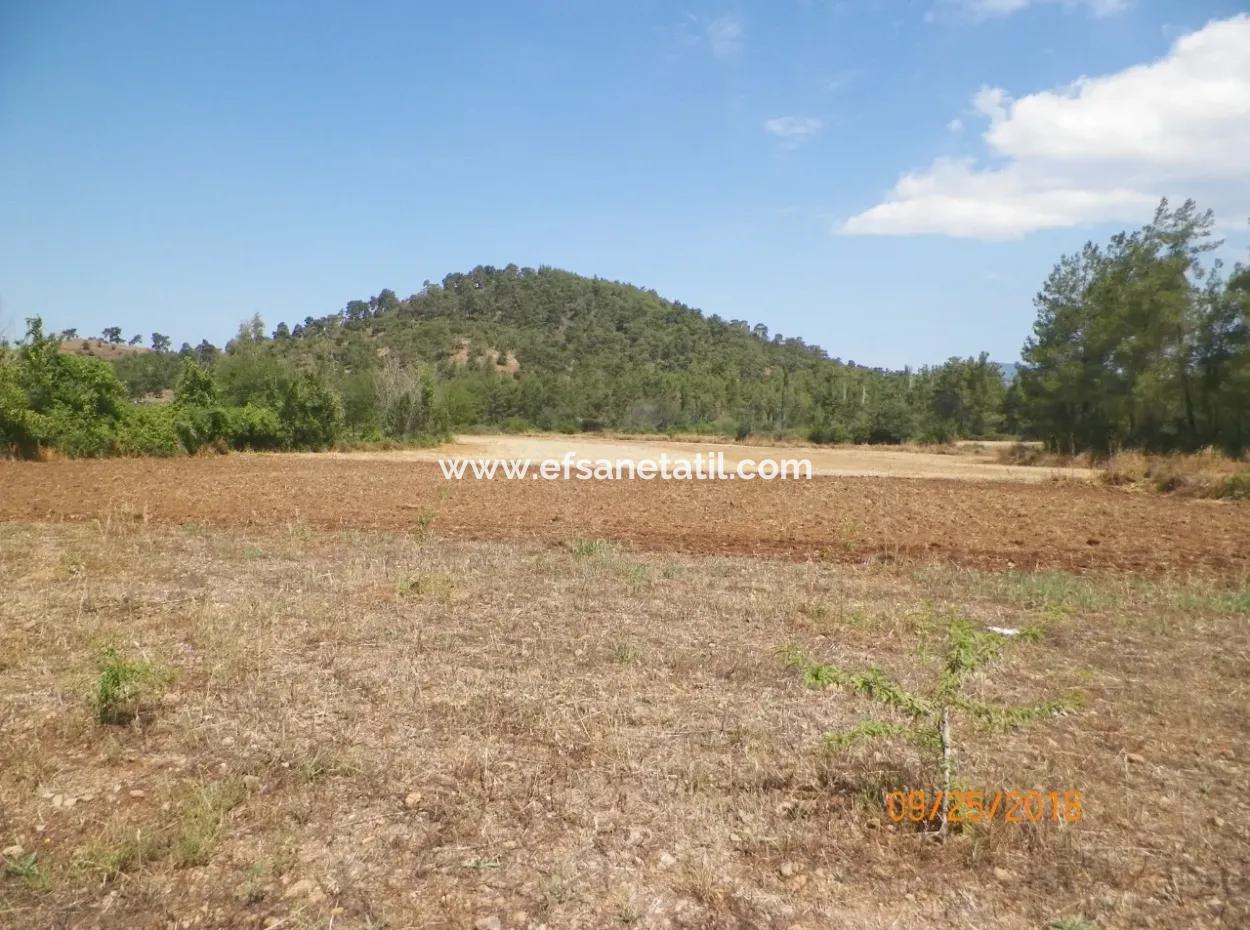 In Beyoba Of Fertile Land For Sale Bargain