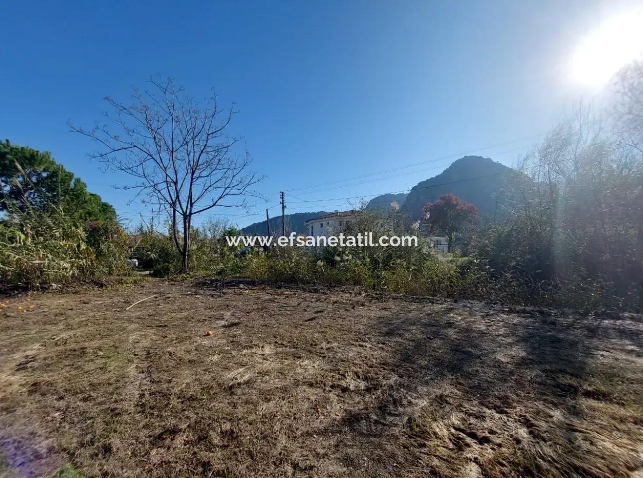 Bargain Suitable For Investment In Muğla Dalyan 4 000 M2 Land By The Forest Is For Sale