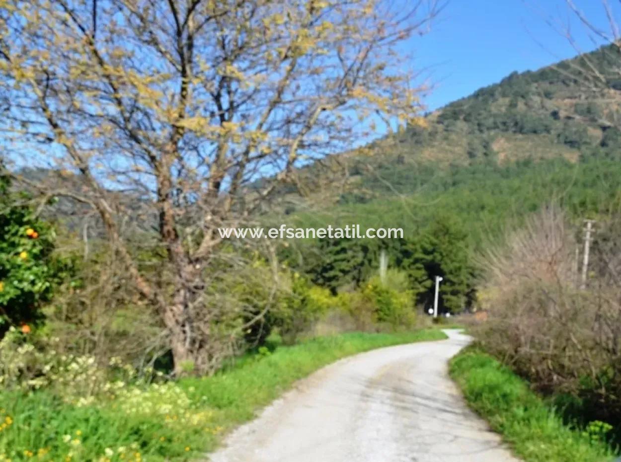 Lemon Garden For Sale Bargain Ortaca