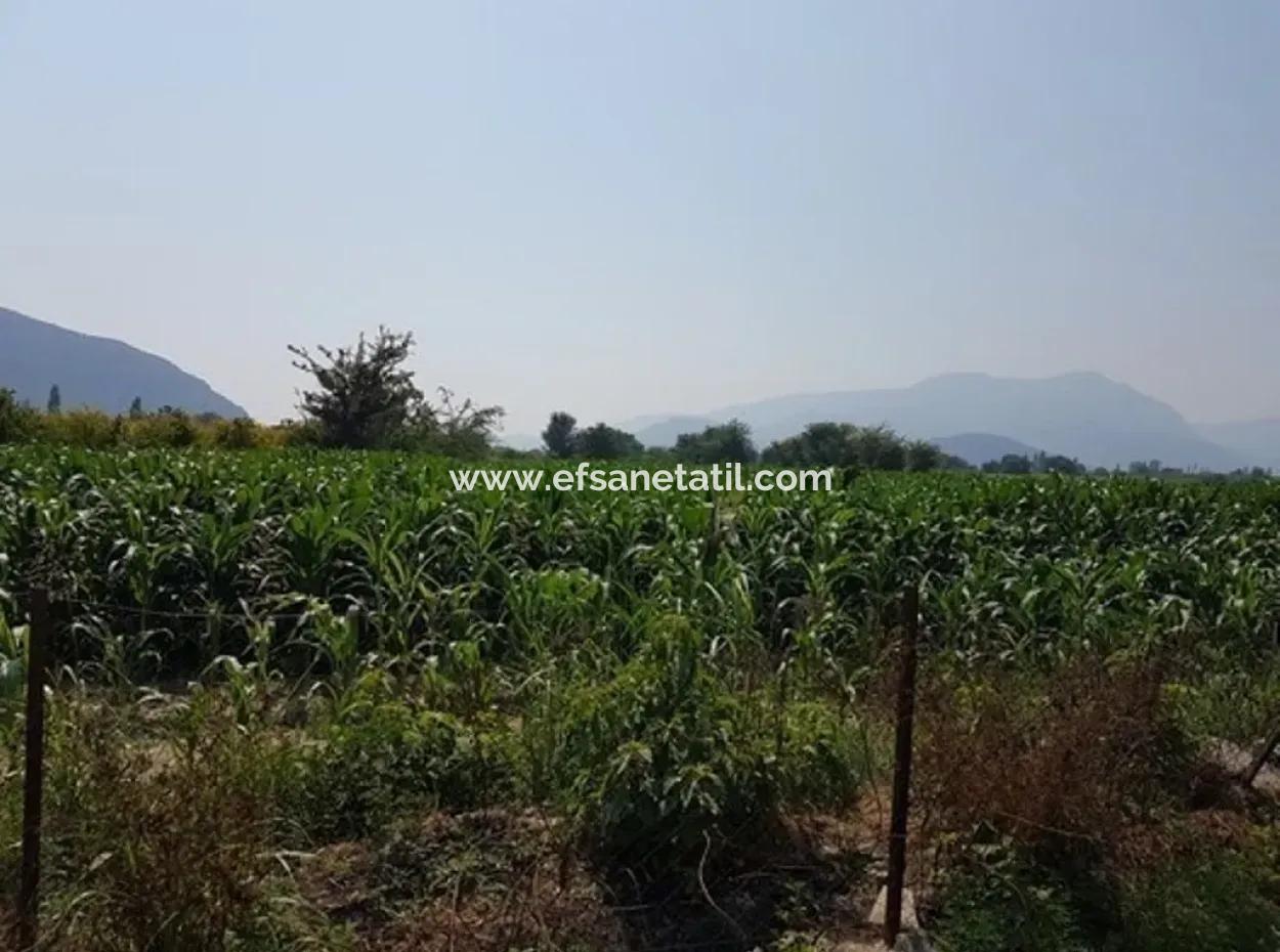 3000 M2 Land Suitable For Investment For Sale In Mugla Ortaca Archers