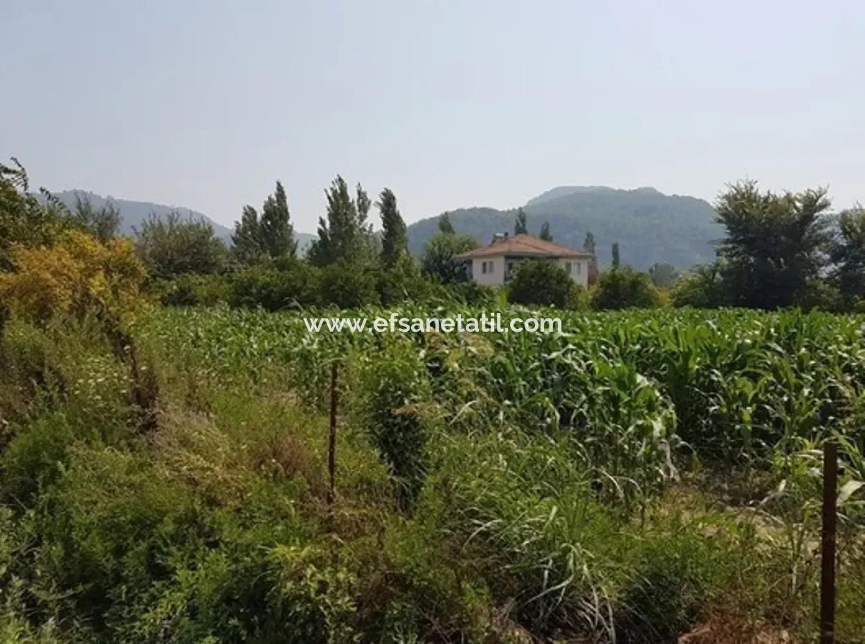3000 M2 Land Suitable For Investment For Sale In Mugla Ortaca Archers
