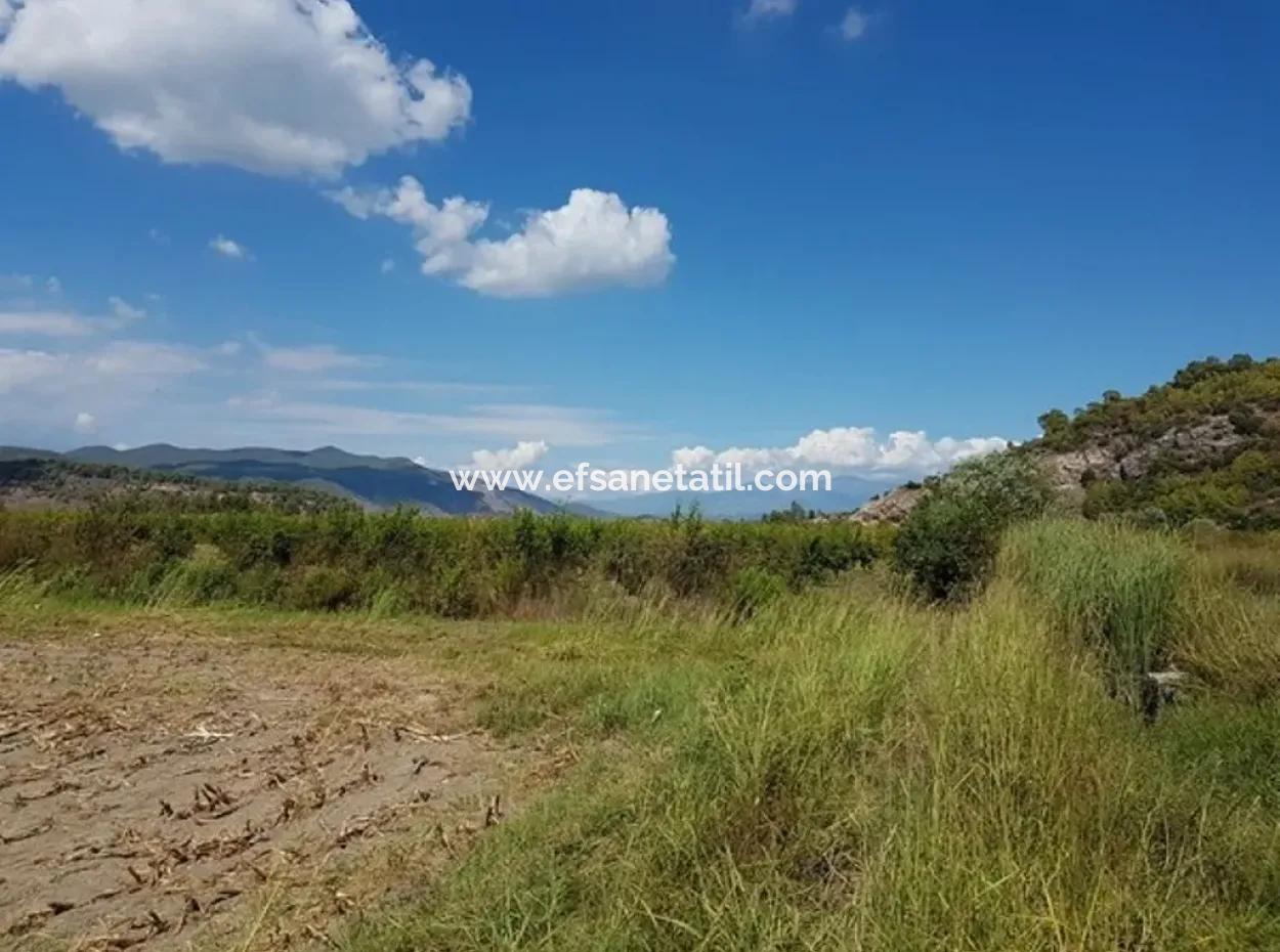 Fertile Land For Sale In Famagusta Bargain