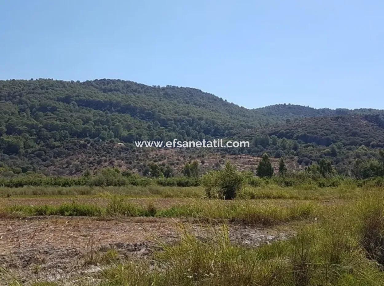 Fertile Land For Sale In Famagusta Bargain