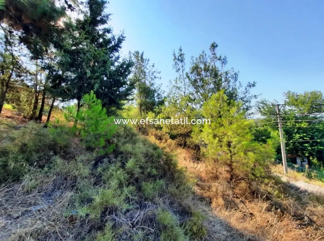 Plot Of Land With Sea Views For Sale In Fethiye Ciftlikkoy