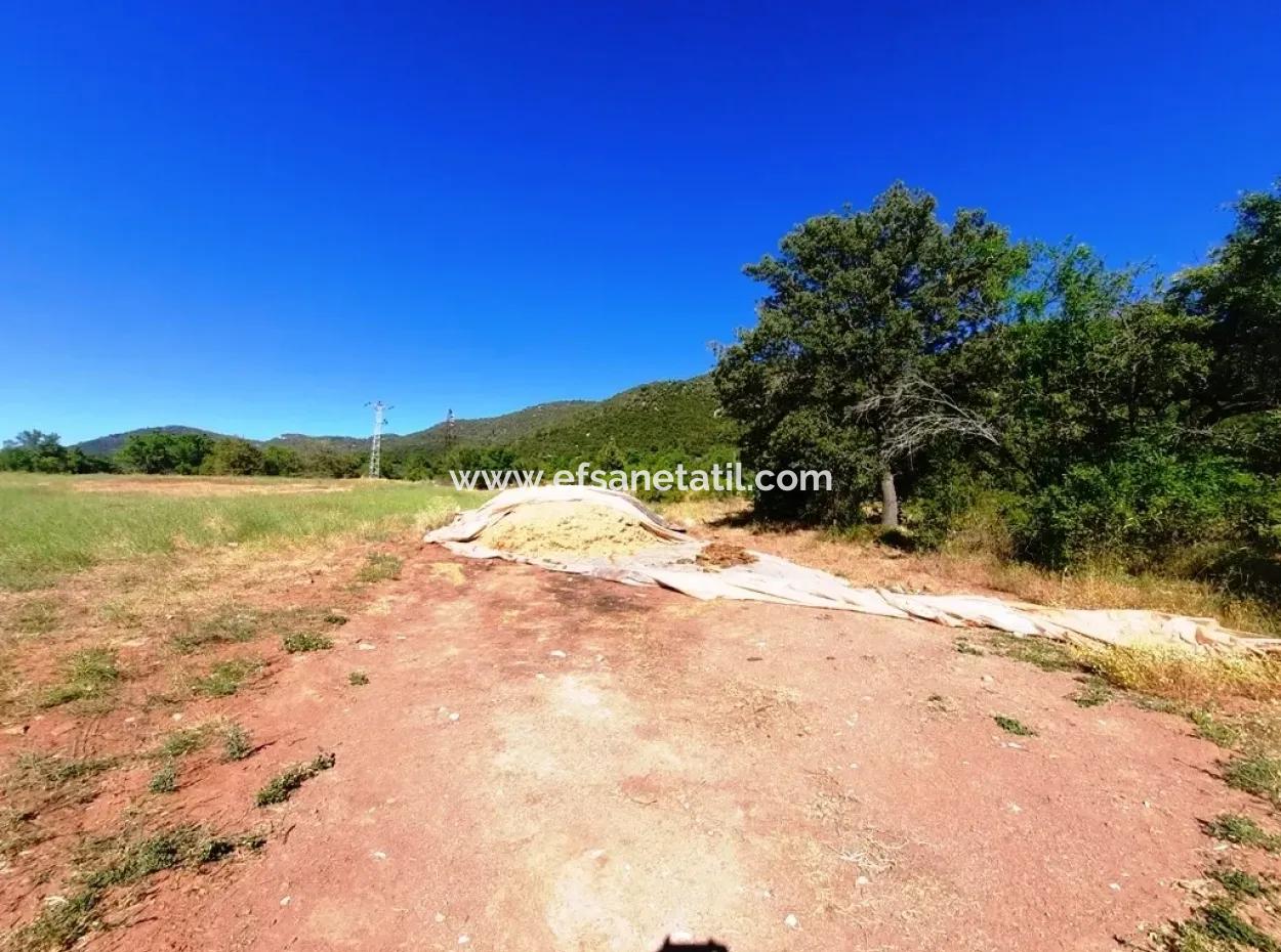 Land For Sale Bargain For Sale In St John Yunuspinar Denizli