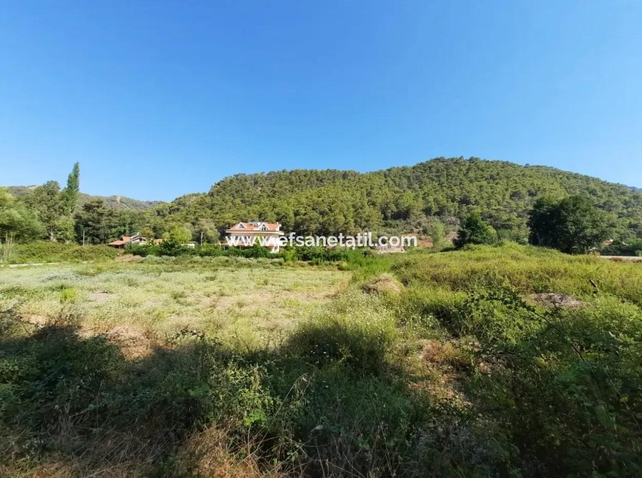 Vineyard Garden Zoning Land For Sale In Gocek Inlice