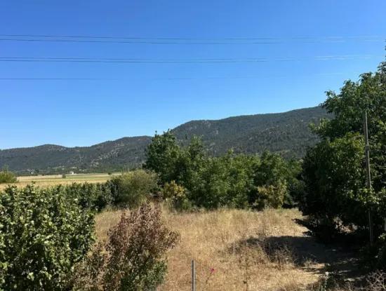3070 M2 Walnut Orchard For Sale On The Side Of The Main Road In Denizli Çameli