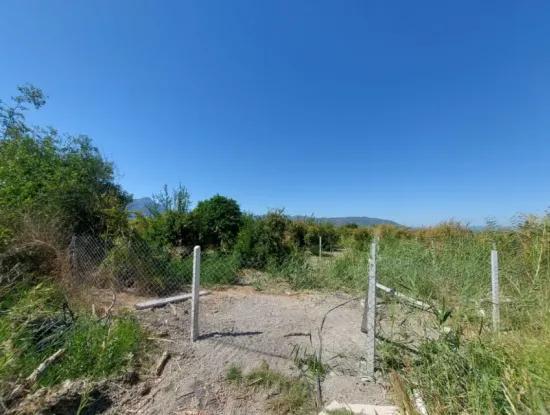 8126 M2 Investment And Pomegranate Orchard Suitable For Zirayi Loan Is For Sale In Ortaca Tepe