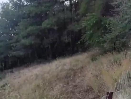 Muğla Ula Çiçek Main Road In Greenery 2.500 2 Detached Land With Title Deed For Sale.