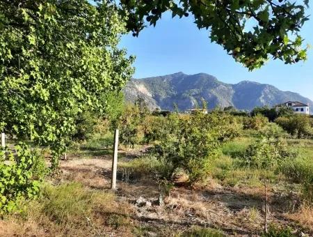 Land Suitable For Investment For Sale In Mugla Dalyan Marmarlı