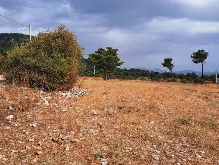 Detached Land With Lake Views For Sale In Köyceeğiz Zeytin Area