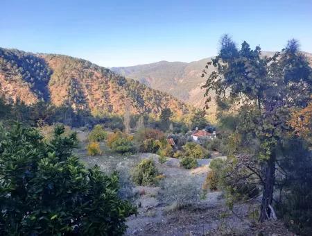 Mugla Dalaman Narli 1800 M2 Bargain Land For Sale