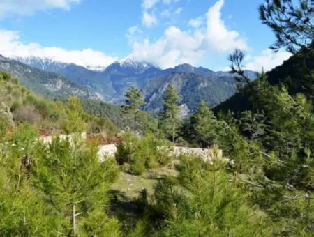 Zoning Land For Sale In Fethiye Grapes Kizilbel