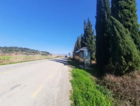 Mugla Ortaca Güzelyurt Sarıgerme Road Facing 2256 M2 Field For Sale