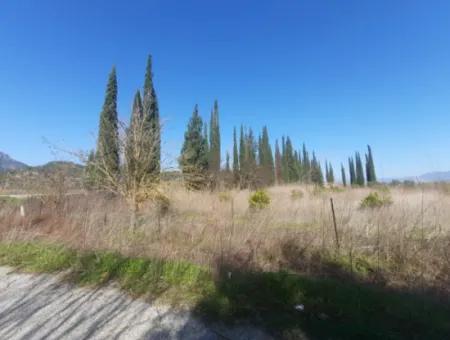 Mugla Ortaca Güzelyurt Sarıgerme Road Facing 2256 M2 Field For Sale