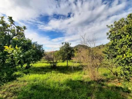 2 Parcels Of Zoning Land Side By Side For Sale In Ortaca Yerbelen