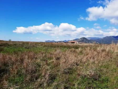 4830 M2 Land Near The Iztuzu Beach Road For Sale In Mugla Dalyan