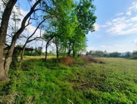 7668 M2 Bargain Land With Lake View For Sale In Köyceğiz Zeytinalani