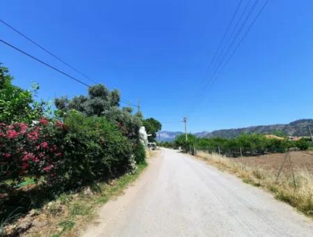 Bargain 560 M2 Plot For Sale In Muğla Ortaca Çaylı