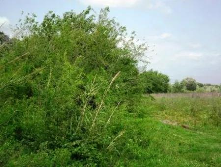 Oriya Fevziye For Sale Bargain Land, Suitable For Investment, 1500 M2