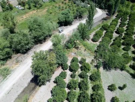 Köyceğizde Lake Close 2 650M2 Detached Land Deed Garden For Sale