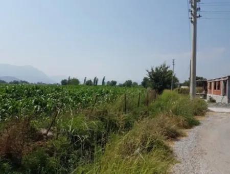 Detached 15000 M2 Fertile Land For Sale In Mugla Ortaca Archers