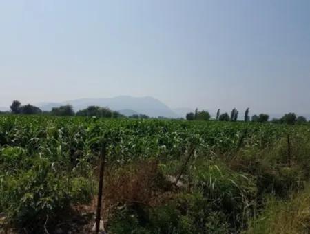 Detached 15000 M2 Fertile Land For Sale In Mugla Ortaca Archers