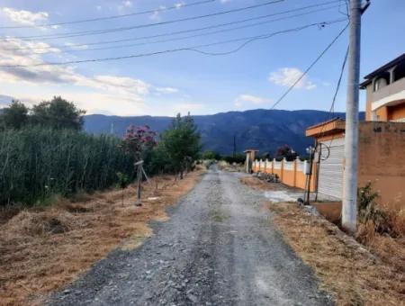 3500 M2 Orange And Tangerine Garden For Sale In Köyceğiz Toparlar