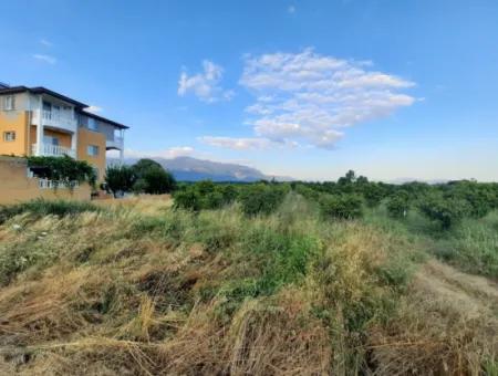 3500 M2 Orange And Tangerine Garden For Sale In Köyceğiz Toparlar