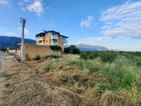 3500 M2 Orange And Tangerine Garden For Sale In Köyceğiz Toparlar