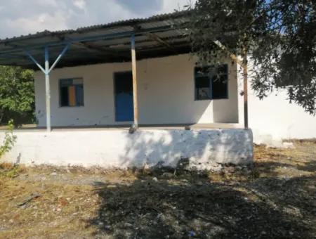 2 Detached Houses For Sale In 1992 M2 Plot Overlooking The Lake In Köyceğiz Zeytinalanı