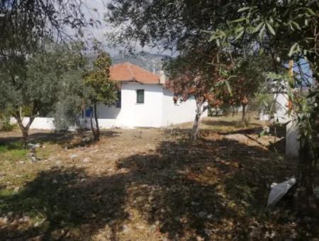 2 Detached Houses For Sale In 1992 M2 Plot Overlooking The Lake In Köyceğiz Zeytinalanı