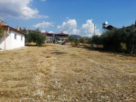 2 Detached Houses For Sale In 1992 M2 Plot Overlooking The Lake In Köyceğiz Zeytinalanı