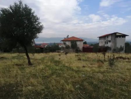 2788 M2 Field With Lake View For Sale In Mugla Köyceğiz Zeytinalanı