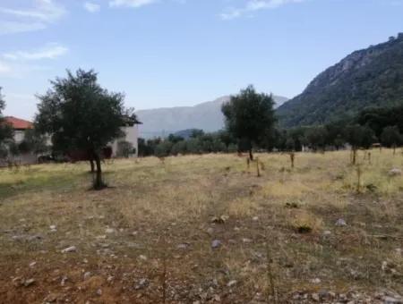 2788 M2 Field With Lake View For Sale In Mugla Köyceğiz Zeytinalanı