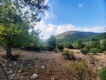 Mugla Dalyan Gökbel 320 M2 Bargain Land For Sale