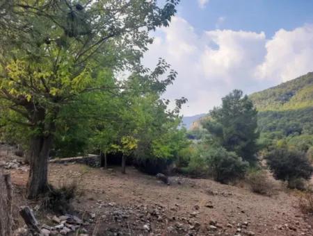 Mugla Dalyan Gökbel 320 M2 Bargain Land For Sale