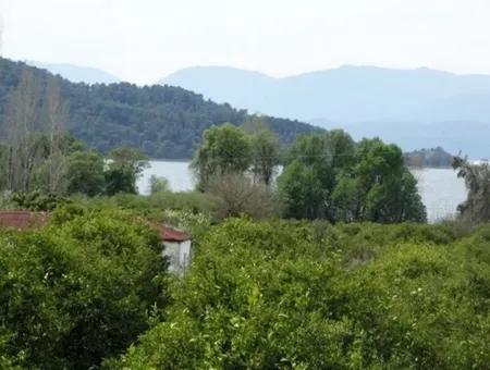 Big Land For Sale In Koycegiz Lake Also Inflammation Zero